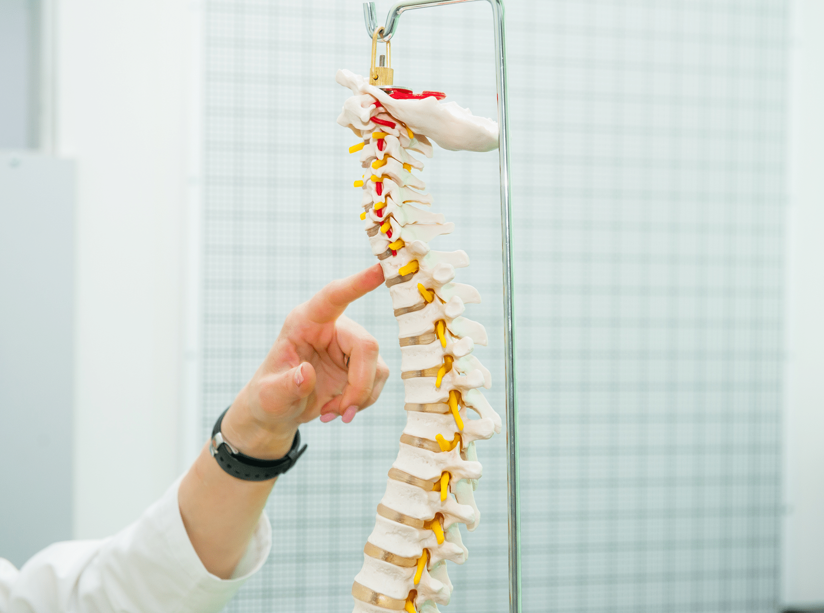 spinal cord damage